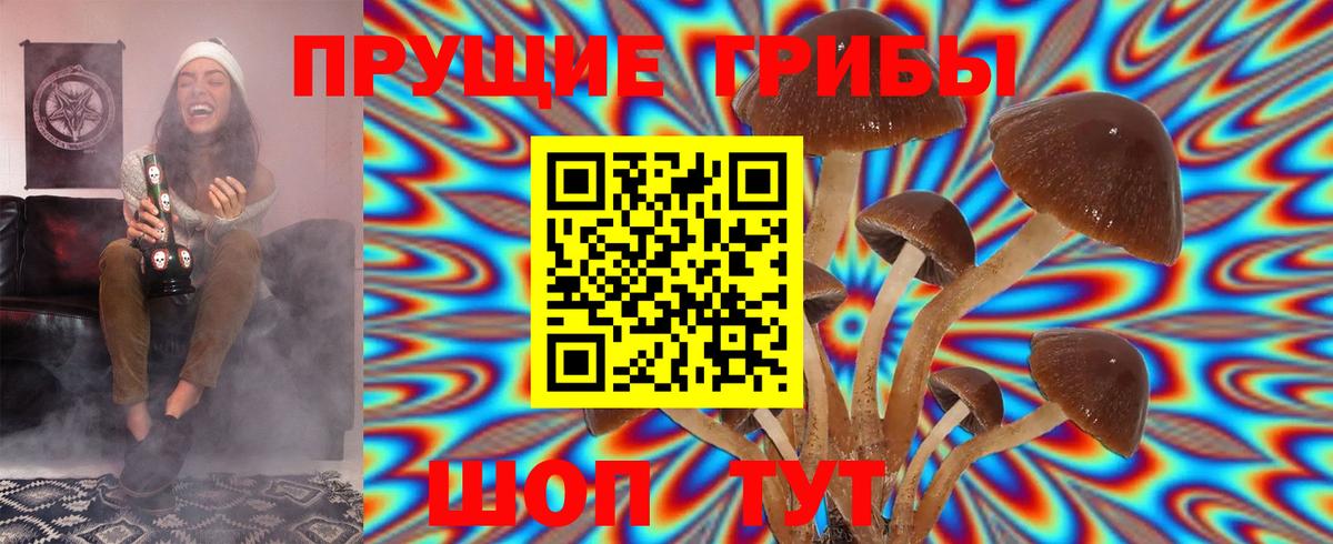 Дальнереченск  Псилоцибиновые грибы MAGIC MUSHROOMS  Вход с VPN 